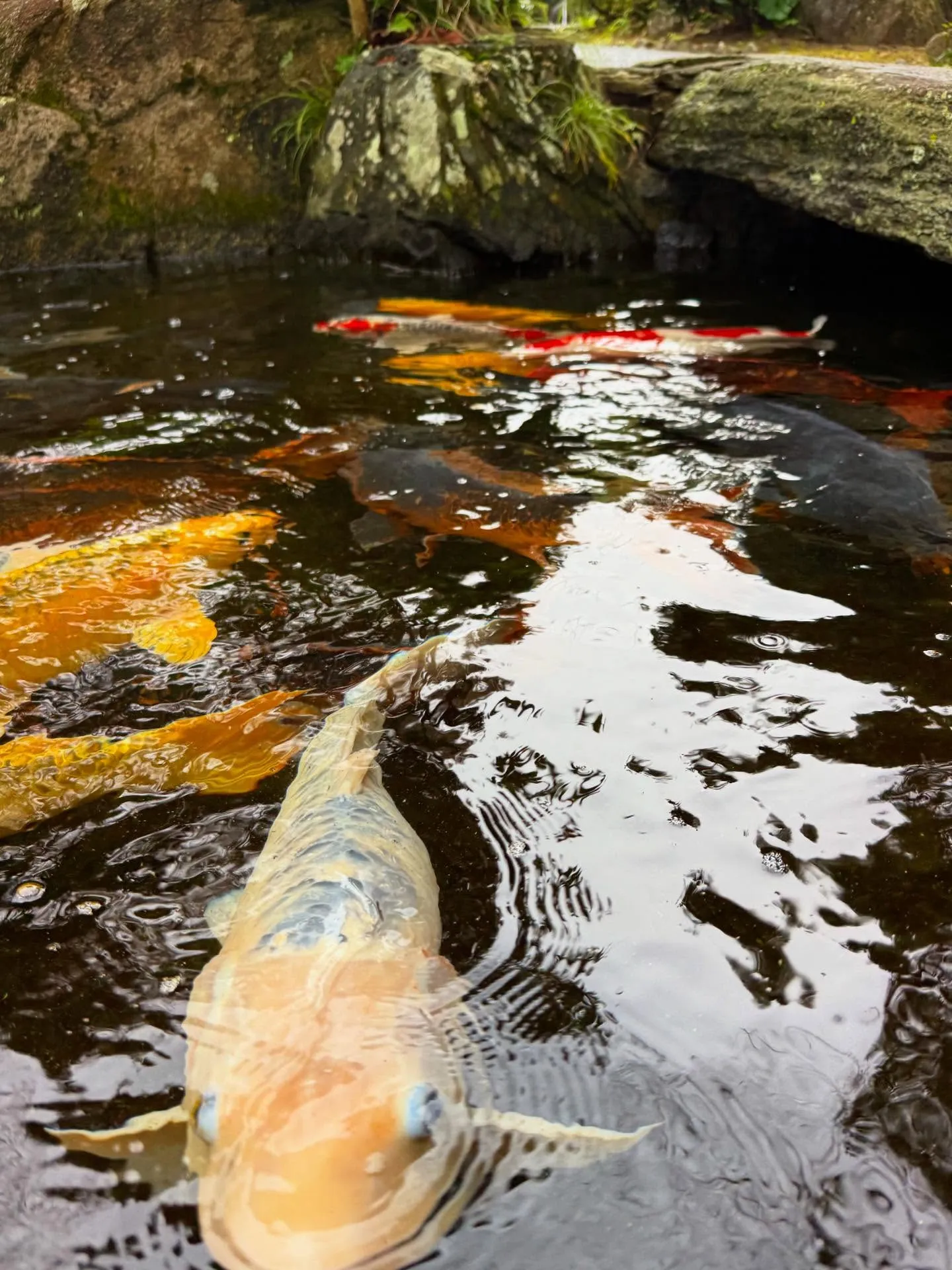 月に一度の大事なお参り。
